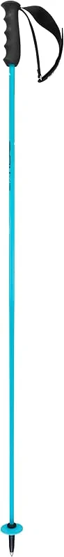 HEAD Worldcup Rebels Carbon Bâtons de Ski Unisexe, Speed Blue, Noir, Blanc, 135 — Equipement ski